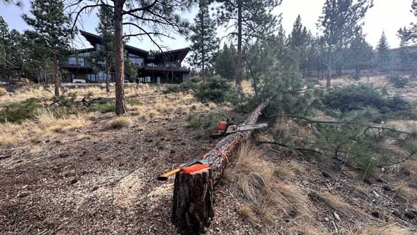 Fuels Management in Central Oregon