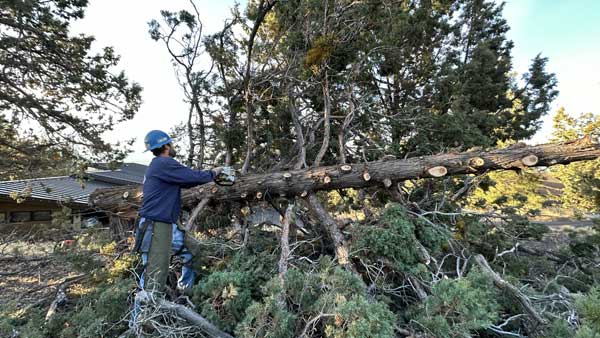 Property Clearing